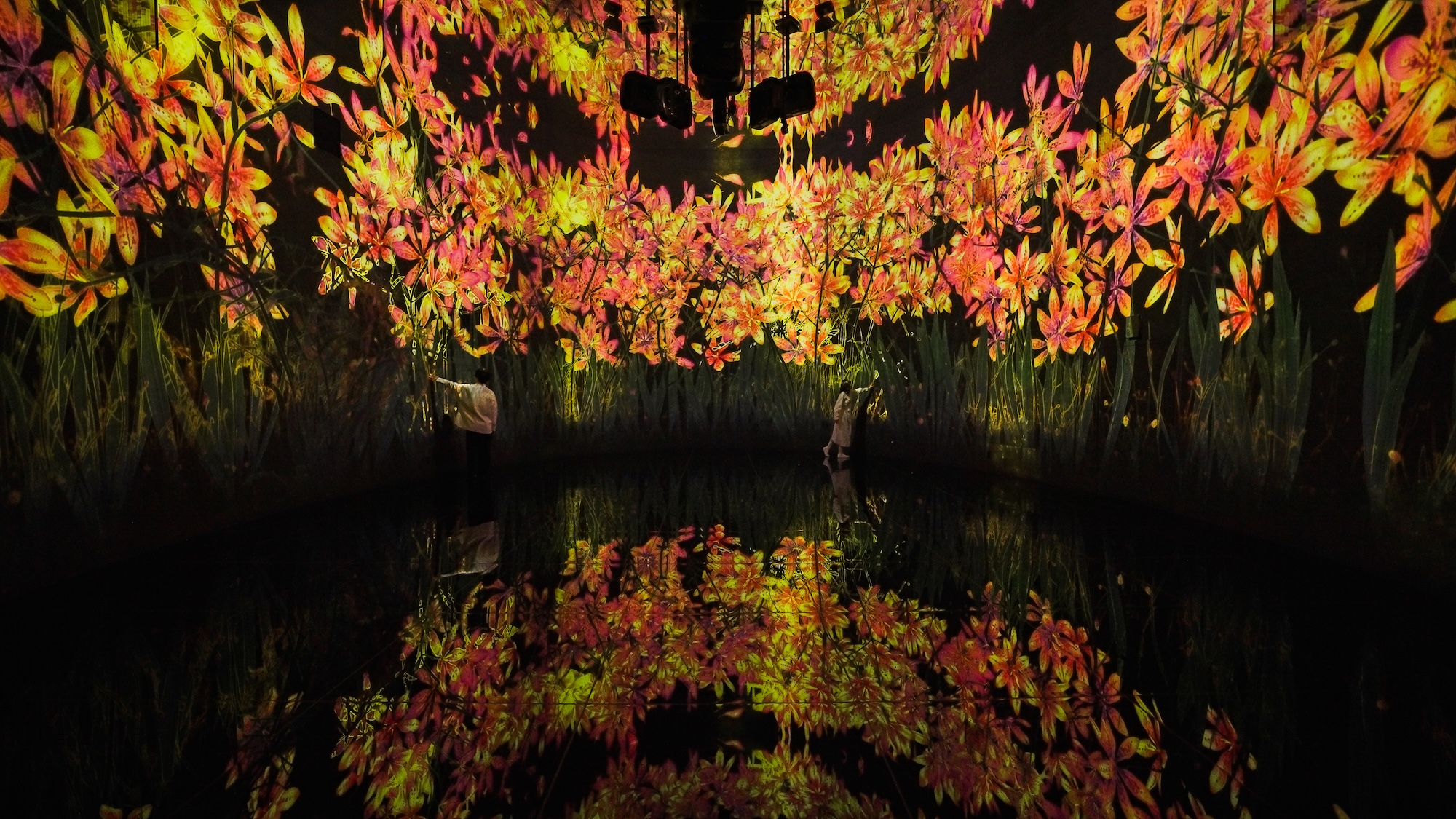 Infinite Life Installation